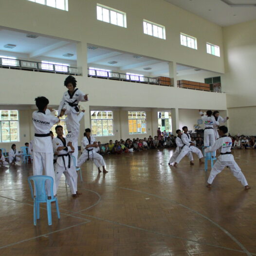 Karatedo